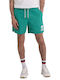 Men's Swimwear Shorts Green