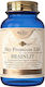 Sky Premium Life Brainlit Supliment pentru Memorie și Concentrare 60 Comprimate