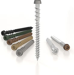 Showood Wood Bolts Torx Metallic with Diameter M5 and Length 60mm Floor Ø5 X 60mm Brown