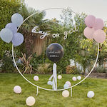 Party Set for Gender Reveal (25 pieces)