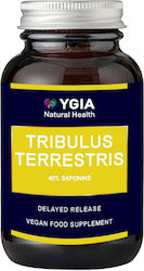 Ygia Tribulus Terrestris 600mg 60 φυτικές κάψουλες Ygia Tribulus Terrestris 600mg 60 φυτικές κάψουλες