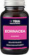 Ygia Echinacea 5000mg 60 φυτικές κάψουλες