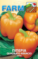 Peppers orange (variety Quadrato Arancio)