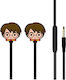 ERT Group Harry potter Безжични Стерео с жак 3.5mm Harry