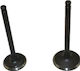 Modenas Motorcycle Intake Valve Modenas X-CITE