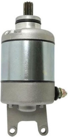 BEVERLY 250 04'-09' MP3 300 10'-15' KOMPLETT Motorrad-Startermotor für Piaggio Beverly 250 / MP3 334-07-20200