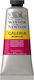 Winsor & Newton Galeria Acrylic Paint Set Permanent Rose 60ml 1pcs