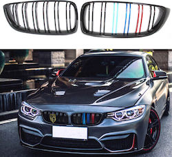 Carner Măști decorative pentru mașini BMW F32 / M4 0029294