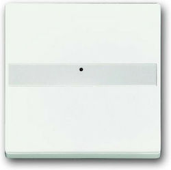 Abb Future Recessed Wall Switch Without Frame W...
