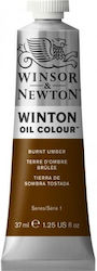 Winsor & Newton 37ml Winton Oil Burnt Umber