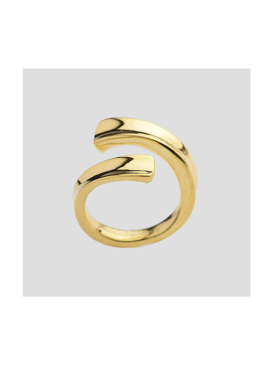 Silver ring with gold-plated twist