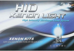 Xenon h7 s and All Single bulbs