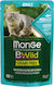 Monge Bwild Grain Free Wet Food for Adult Cats In Pouch with Shrimps / Vegetables / Cod 1pc 85gr