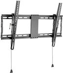 Gembird WM-80T-01 WM-80T-01 Wall TV Mount up to 37" and 70kg