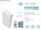 Newtop PB24 Power Bank 10000mAh cu 2 Porturi USB-A Alb