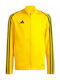 Athletic Kids Cardigan Yellow