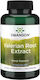 Swanson Valerian Root Extract 200mg 120 κάψουλες