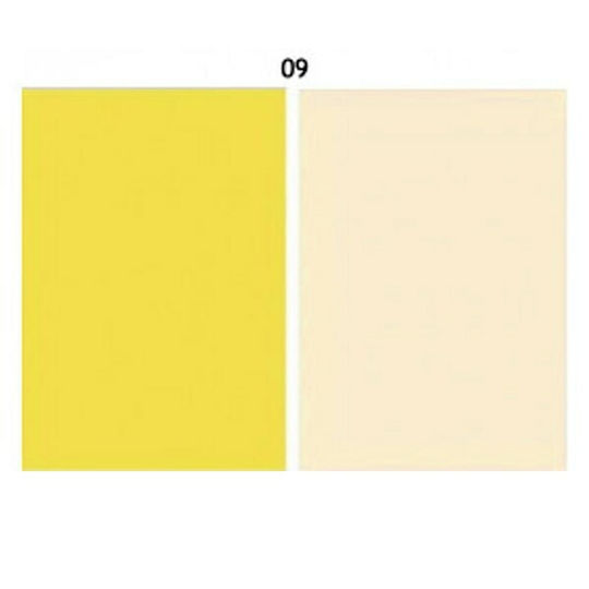 IRiSfot Irisfot Double-Sided ΒΟM09 Photography Backdrop PVC 60x60cm Yellow / Beige