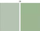 IRiSfot Irisfot Doppelseitig ΒΟM08 Fotohintergrund PVC 60x60cm Grün