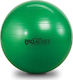 Thera-Band ProSeries Μπάλα Pilates 65cm σε Πράσινο Χρώμα