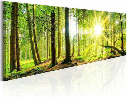 Polihome Majestic Panou Tesatura 150x50cm