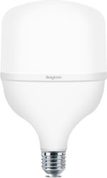Braytron LED 38W E27