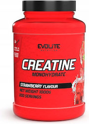 Evolite Creatine Monohydrate Strawberry 1000g Evolite Creatine Monohydrate Strawberry 1000g