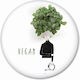 Fun Creations Rundes Dekoratives Magnet Kunststoff 5,9x5,9cm