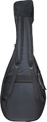 Premium 20 Polish Lute Case