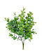 Buchet Eucaliptus 33cm - Verde