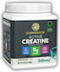 Sunwarrior Active Creatine Unflavoured 300gr
