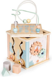 Ecotoys Lernwürfel für 24++ Monate Ecotoys Lernwürfel für 24++ Monate