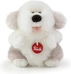 Trudi Plush Dog