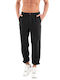 Chino Black Trousers