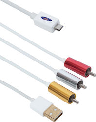 Cable - 18231