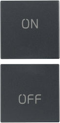 Vimar Lichtschalterplatte in Gray Farbe 20751.1
