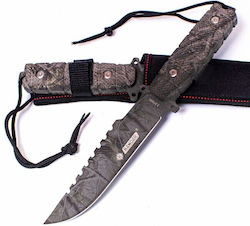 Kandar K17