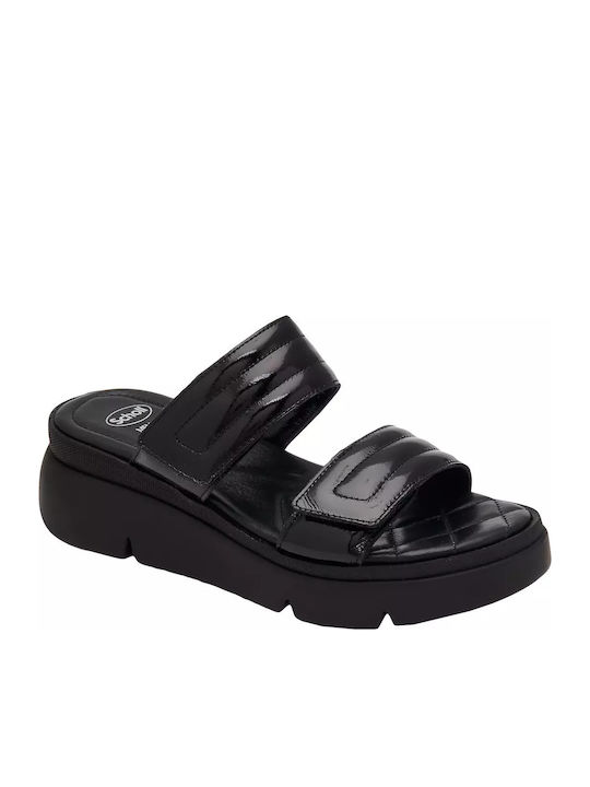 Scholl Scholl