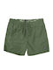 Herren Badebekleidung Shorts Grün