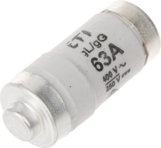 Geyer Melting Safety Fuse Neozed