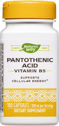 Nature's Way Pantothenic Acid Vitamin B5 Витамин 100 капси