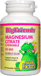 Natural Factors BigFriends Magnesium Citrate 50мг 60 жулими таблетки Жвънчеща дъвка