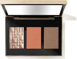Bobbi Brown Sculpted Glow Makeup Palette for the Face Summer Collection Medium