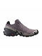 Salomon Speedcross 6 Sport Shoes Trail Running Black / Asrose