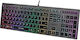 A4Tech Fstyler FX60H Gaming Πληκτρολόγιο με RGB φωτισμό (Αγγλικό US)