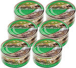 Princess Premium Wet Food for Cats In Can with Chicken / Rice / Tuna / Αλόη 6pcs 70gr