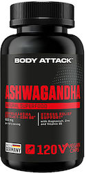 Body Attack Ashwagandha 120 capsule pe bază de plante Body Attack Ashwagandha 120 capsule pe bază de plante