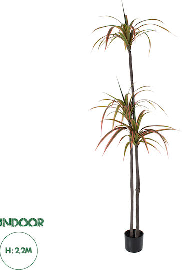 Arbore Artificial de Exterior Dracaena Green 220cm GloboStar