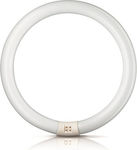 Fluorescent Lamp with Shape T9 40W