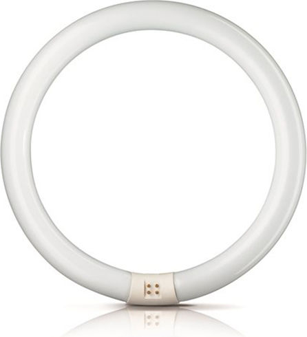 Delux Leuchtstofflampe für Fassung G10Q mit Form T9 40W